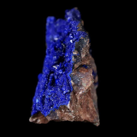 1.2" Azurite Crystals On Barite Mineral Specimen Tiznit Morocco - Fossil Age Minerals