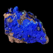 1.2" Azurite Crystals & Malachite On Barite Mineral Specimen Tiznit Morocco