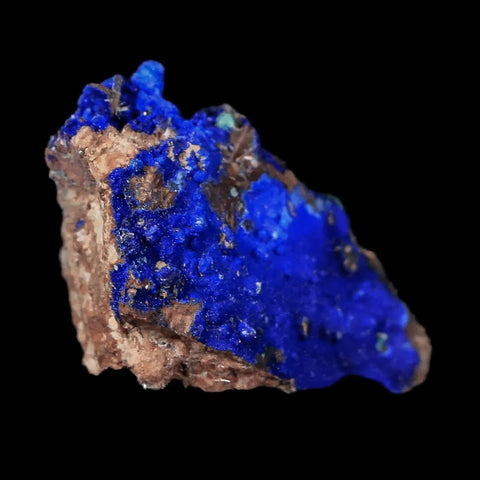 1.2" Azurite Crystals & Malachite On Barite Mineral Specimen Tiznit Morocco - Fossil Age Minerals