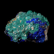 1.5" Azurite Crystals & Malachite On Barite Mineral Specimen Tiznit Morocco