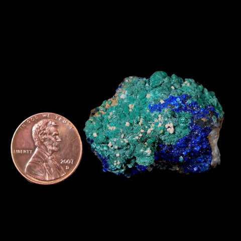 1.5" Azurite Crystals & Malachite On Barite Mineral Specimen Tiznit Morocco - Fossil Age Minerals