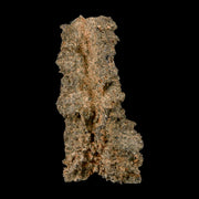 2.7" Fulgurite Petrified Lightning Strike Glass Sahara Desert Algeria