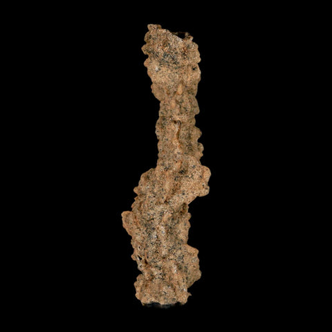 3" Fulgurite Petrified Lighting Strike Glass Sahara Desert Algeria - Fossil Age Minerals