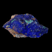 2.6" Azurite Crystals & Malachite On Matrix Mineral Specimen Tiznit Morocco