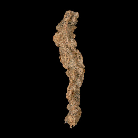3" Fulgurite Petrified Lighting Strike Glass Sahara Desert Algeria - Fossil Age Minerals