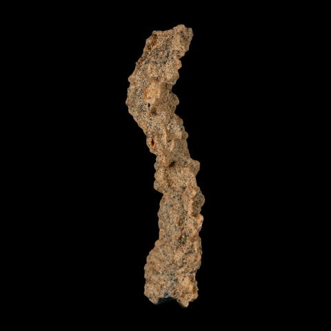 3" Fulgurite Petrified Lighting Strike Glass Sahara Desert Algeria - Fossil Age Minerals