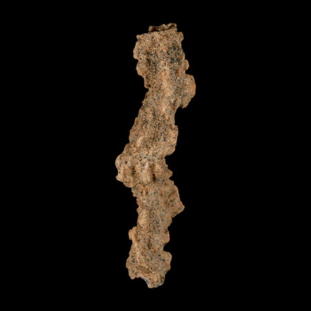 3" Fulgurite Petrified Lightning Strike Glass Sahara Desert Algeria