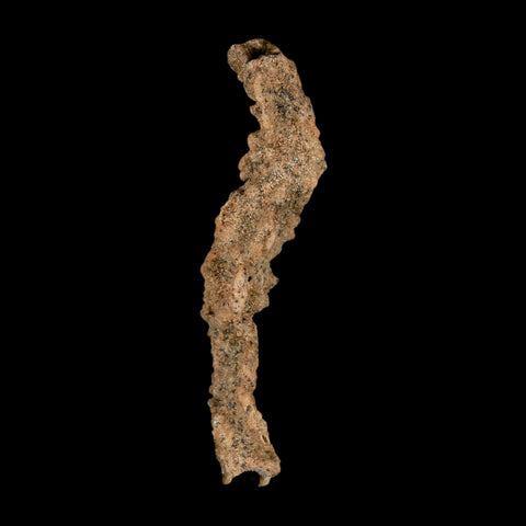 3" Fulgurite Petrified Lighting Strike Glass Sahara Desert Algeria - Fossil Age Minerals