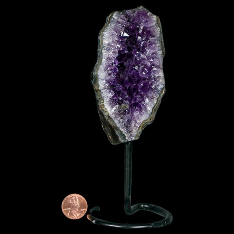 4" Amethyst Crystal Cluster Mineral Specimen Brazil Custom Medal Stand