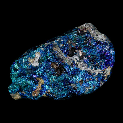 2.4" Chalcopyrite Bornite Brilliant Multicolored Peacock Ore Chihuahua Mexico - Fossil Age Minerals