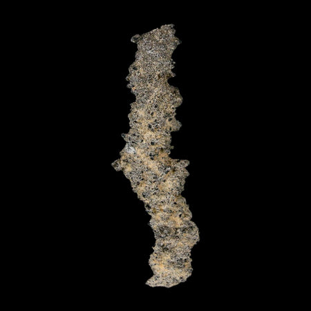 2.8" Fulgurite Petrified Lightning Strike Glass Sahara Desert Algeria