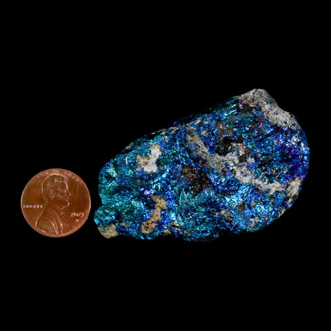 2.4" Chalcopyrite Bornite Brilliant Multicolored Peacock Ore Chihuahua Mexico - Fossil Age Minerals