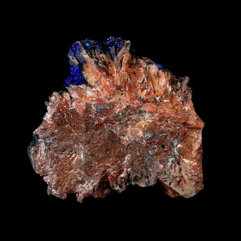 1.7" Azurite Crystals & Malachite On Barite Mineral Specimen Tiznit Morocco - Fossil Age Minerals
