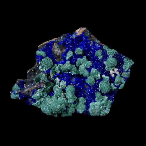 1" Azurite Crystals & Malachite On Matrix Mineral Specimen Tiznit Morocco - Fossil Age Minerals