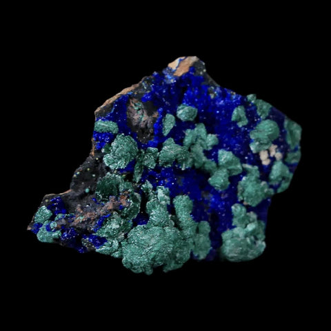 1" Azurite Crystals & Malachite On Matrix Mineral Specimen Tiznit Morocco - Fossil Age Minerals