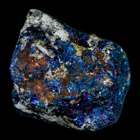 2.4" Chalcopyrite Bornite Brilliant Multicolored Peacock Ore Chihuahua Mexico - Fossil Age Minerals