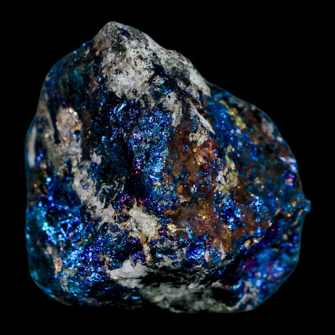 2.4" Chalcopyrite Bornite Brilliant Multicolored Peacock Ore Chihuahua Mexico - Fossil Age Minerals