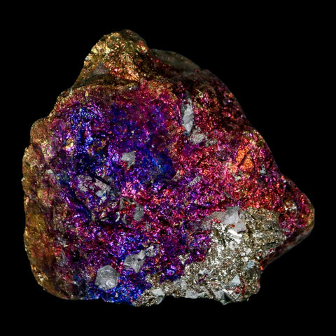 2.2" Chalcopyrite Bornite Brilliant Multicolored Peacock Ore Chihuahua Mexico - Fossil Age Minerals