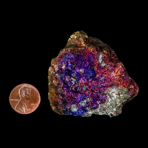 2.2" Chalcopyrite Bornite Brilliant Multicolored Peacock Ore Chihuahua Mexico - Fossil Age Minerals