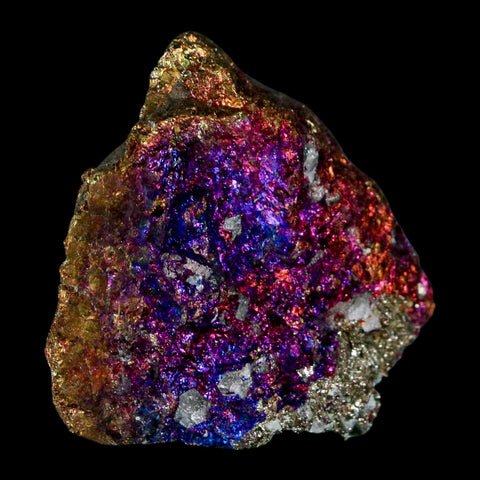 2.2" Chalcopyrite Bornite Brilliant Multicolored Peacock Ore Chihuahua Mexico - Fossil Age Minerals