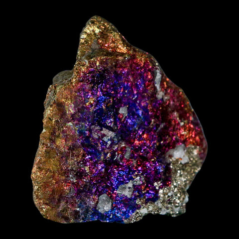 2.2" Chalcopyrite Bornite Brilliant Multicolored Peacock Ore Chihuahua Mexico - Fossil Age Minerals
