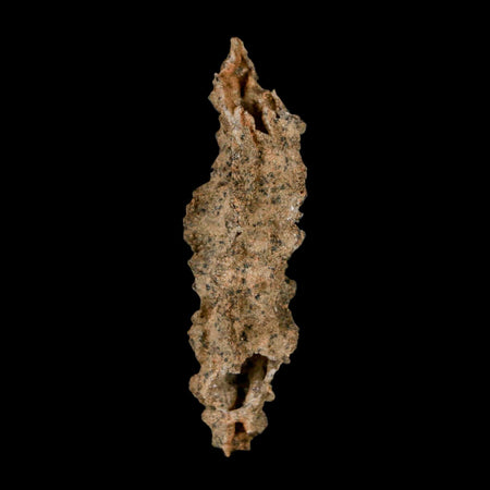 2.7" Fulgurite Petrified Lightning Strike Glass Sahara Desert Algeria