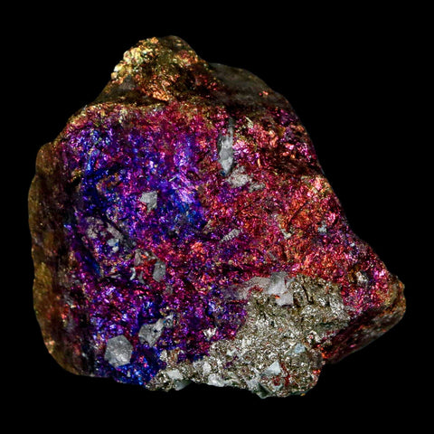 2.2" Chalcopyrite Bornite Brilliant Multicolored Peacock Ore Chihuahua Mexico - Fossil Age Minerals