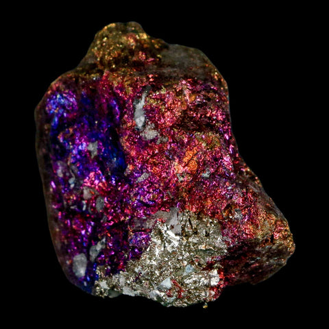 2.2" Chalcopyrite Bornite Brilliant Multicolored Peacock Ore Chihuahua Mexico - Fossil Age Minerals