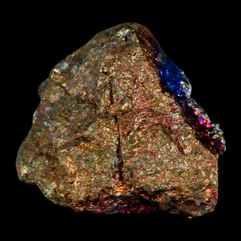 2.2" Chalcopyrite Bornite Brilliant Multicolored Peacock Ore Chihuahua Mexico - Fossil Age Minerals