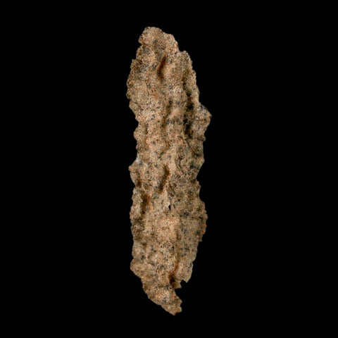2.7" Fulgurite Petrified Lighting Strike Glass Sahara Desert Algeria - Fossil Age Minerals