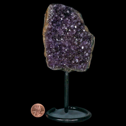 3.5" Amethyst Crystal Cluster Mineral Specimen Brazil Custom Medal Stand