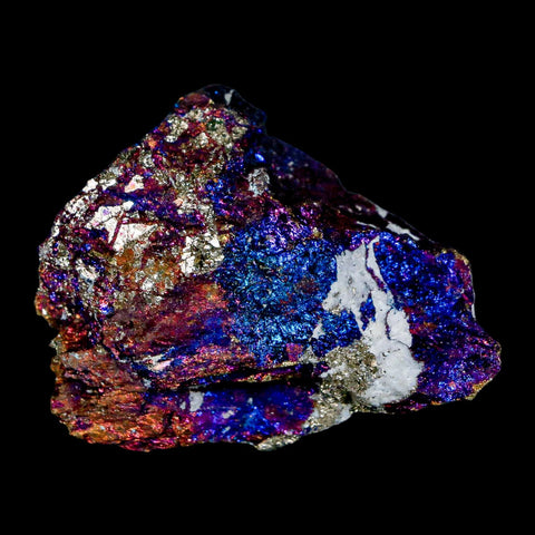 2.1" Chalcopyrite Bornite Brilliant Multicolored Peacock Ore Chihuahua Mexico - Fossil Age Minerals