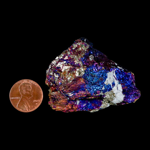 2.1" Chalcopyrite Bornite Brilliant Multicolored Peacock Ore Chihuahua Mexico - Fossil Age Minerals