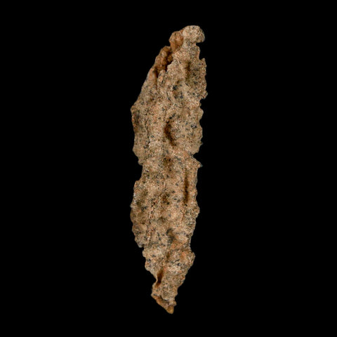 2.7" Fulgurite Petrified Lighting Strike Glass Sahara Desert Algeria - Fossil Age Minerals