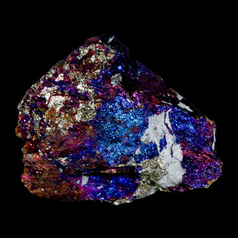 2.1" Chalcopyrite Bornite Brilliant Multicolored Peacock Ore Chihuahua Mexico - Fossil Age Minerals