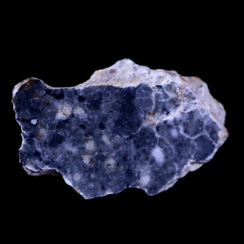 0.9" Moon Rock Lunar Meteorite Bechar 003 Algerian Sahara Desert 2022 1.9 Grams - Fossil Age Minerals