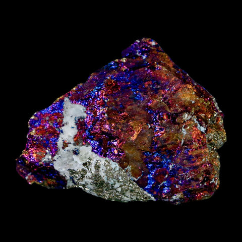 2.1" Chalcopyrite Bornite Brilliant Multicolored Peacock Ore Chihuahua Mexico - Fossil Age Minerals
