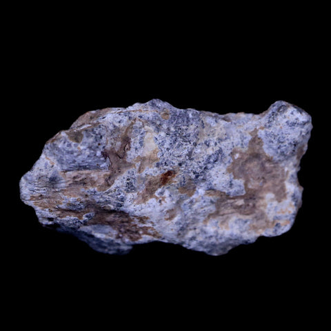 0.9" Moon Rock Lunar Meteorite Bechar 003 Algerian Sahara Desert 2022 1.9 Grams - Fossil Age Minerals