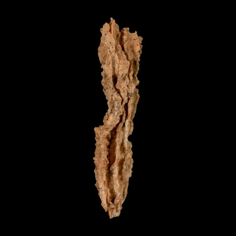 XL 4.7" Fulgurite Petrified Lighting Strike Glass Sahara Desert Algeria - Fossil Age Minerals