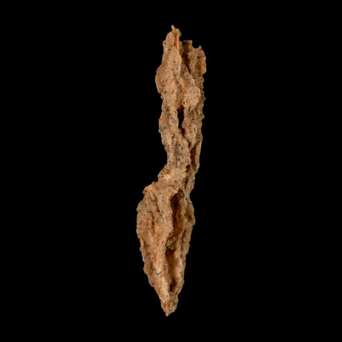 XL 4.7" Fulgurite Petrified Lighting Strike Glass Sahara Desert Algeria - Fossil Age Minerals