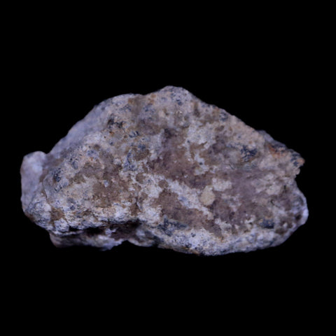 0.9" Moon Rock Lunar Meteorite Bechar 003 Algerian Sahara Desert 2022 1.8 Grams - Fossil Age Minerals