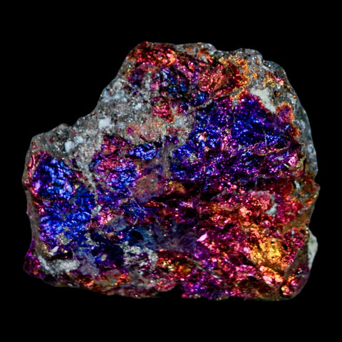 1.9" Chalcopyrite Bornite Brilliant Multicolored Peacock Ore Chihuahua Mexico - Fossil Age Minerals