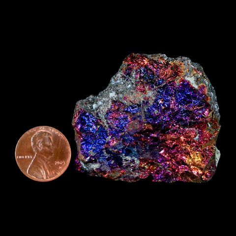 1.9" Chalcopyrite Bornite Brilliant Multicolored Peacock Ore Chihuahua Mexico - Fossil Age Minerals