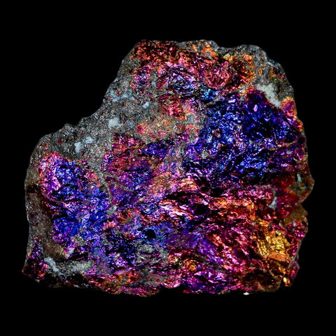 1.9" Chalcopyrite Bornite Brilliant Multicolored Peacock Ore Chihuahua Mexico - Fossil Age Minerals