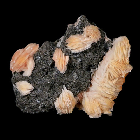 2.4" Yellow Barite, Cerussite & Galena Crystal Mineral Mabladen Morocco - Fossil Age Minerals