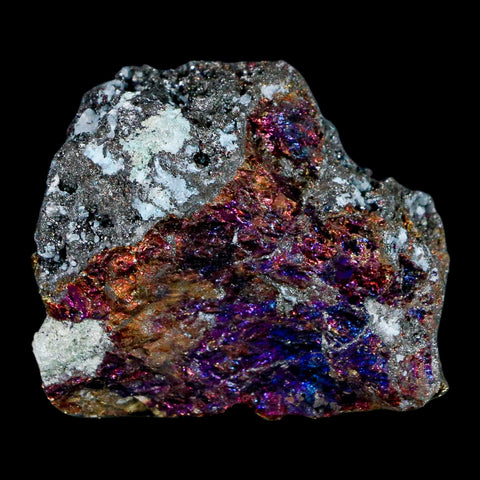 1.9" Chalcopyrite Bornite Brilliant Multicolored Peacock Ore Chihuahua Mexico - Fossil Age Minerals