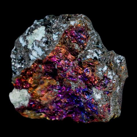 1.9" Chalcopyrite Bornite Brilliant Multicolored Peacock Ore Chihuahua Mexico - Fossil Age Minerals