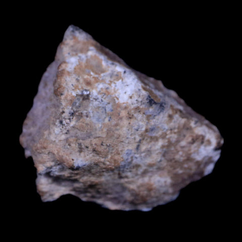 0.7" Moon Rock Lunar Meteorite Bechar 003 Algerian Sahara Desert 2022 1.6 Grams - Fossil Age Minerals