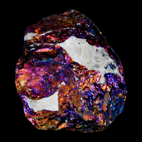 2" Chalcopyrite Bornite Brilliant Multicolored Peacock Ore Chihuahua Mexico - Fossil Age Minerals