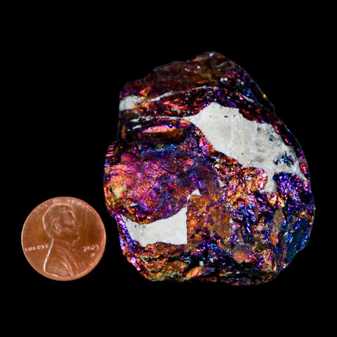 2" Chalcopyrite Bornite Brilliant Multicolored Peacock Ore Chihuahua Mexico - Fossil Age Minerals